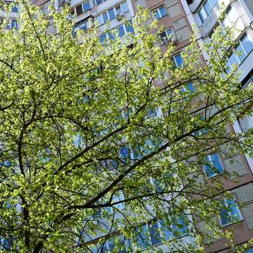 Продаж квартири м.Академмiстечко, пр.Палладiна 13