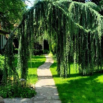 Аренда Дома для отдыха 13Фонтана Шикарный двор Сауна Бомбоубежище Море