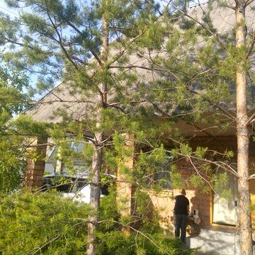 Сдам дом - дачу в Орельском