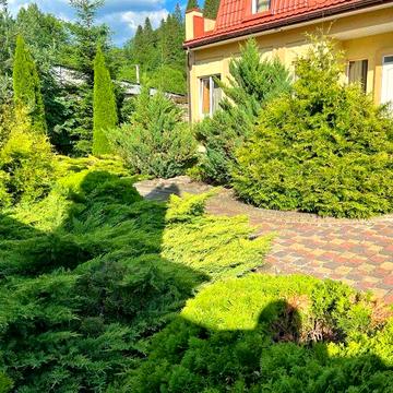 Здається в довгострокову оренду апартаменти біля Східниці , гори і лісу