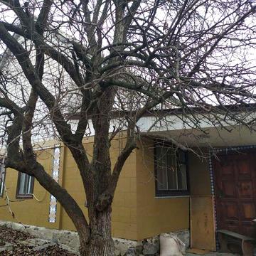 Продам два будинки на одній ділянці. СЕРТИФІКАТ. Ціну ЗНИЖЕНО