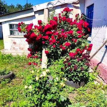 Продам будинок в с. Вовківка