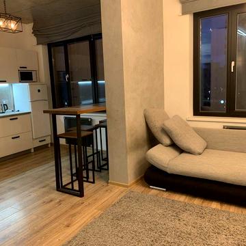 Аренда  на любой срок стильной студии Каманина 3 этаж умный дом животное