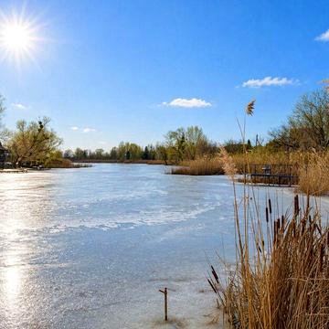 Продаж дачного будинку на березі р. Вільшанка