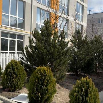 Продается квартира 33 м2 без комиссии владелец ЖК Sanville Park