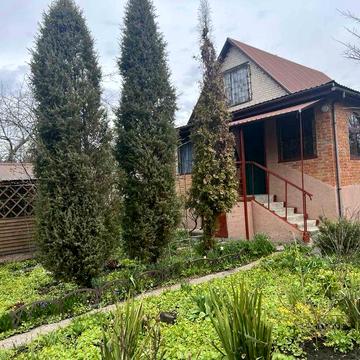 Шикарна дача на Басах будинок