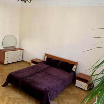 Здається 2 кімнатна квартира в центрі міста