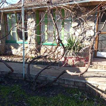 Дача СВТ Черногорье