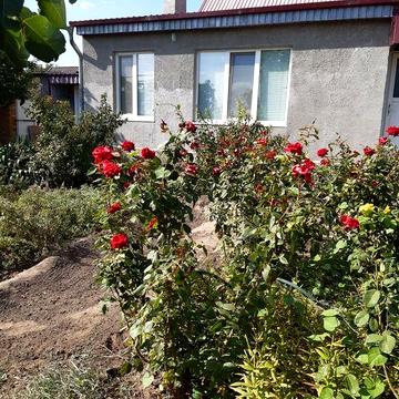 Продам будинок в центрі Томаківки