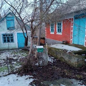 Будинок в с.Дзигівка