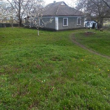 Продам дім в селі Дібрівка  ,