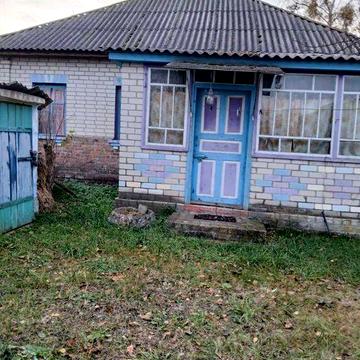 Продам будинок с Борсуків