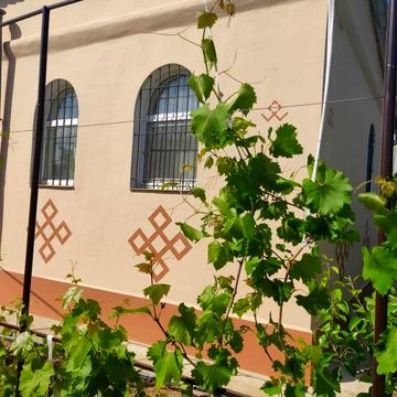 Дача в кооперативі Колос, 5км від Тернівки по дорозі на Зайчевське