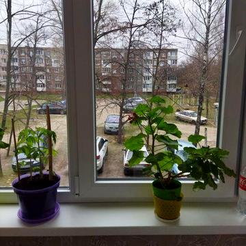 Здається 2-х на Космонавтів 1 на другому поверсі