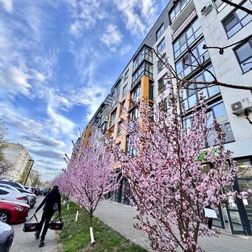 Здається смарт картира в ЖК Авалон