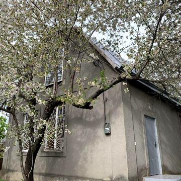 Дом в Светлом (Одесса)