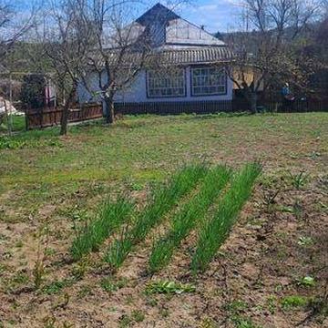 Продам будинок в місті Ржищів