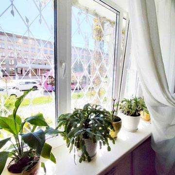 Оренда 1 кімн Дівоча квартира