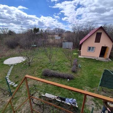 СТ «Діброва» Дача з сауною і альтанкою увитою виноградом.