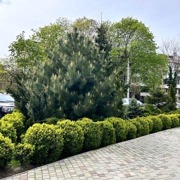 Продаж 2 кімнатної квартири ЖК Акапулько 95м2 вул. Педагогічна ЖК Акапулько