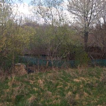 Будинок ,0,60 га землі