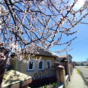 Продам цілий будинок на Тополянській