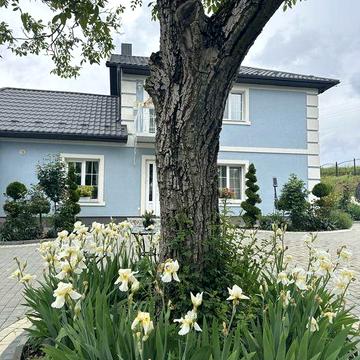 Продаж будинку в мальовничому місці