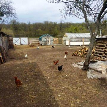 Продаж 2к Дім Висока