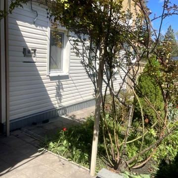 Аренда дома Центр