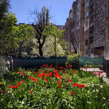 Продажа 2-комнатной квартиры на Таирова, средний этаж Свободна