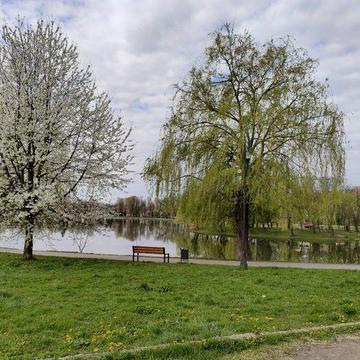Квартири з можливістю трирічного безвідсоткового розтермінування ЖК Січ