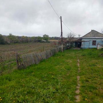 Будинок з земельною ділянкою