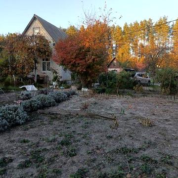 Продається дача, Вишгород.р--н, ст "Місячна Галявина"