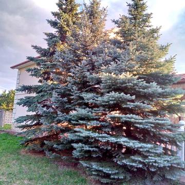 Оренда будинку на Осокорках (5 км до м. Славутич)