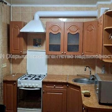 1 квартира Салтовка, ТРК Украина