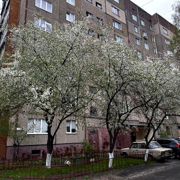 Оренда 2-х кімнатної квартири (вул. Узбецька)