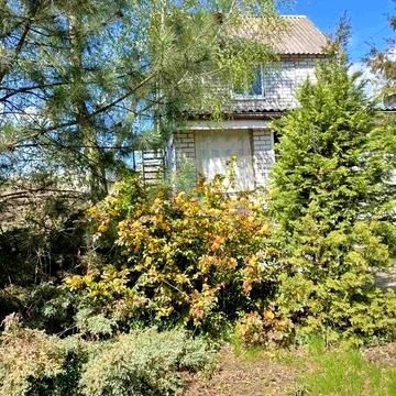 Дача в Лозах Відрадне