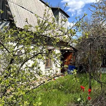 Продам дачу с.Сухачівка кооператив Мічуренець