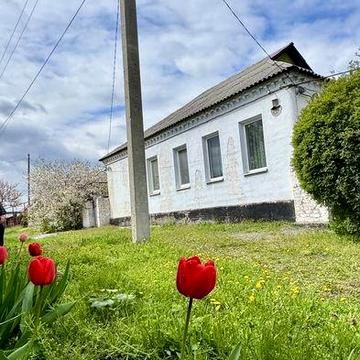 Продам дом на Левом берегу. Клинчик.