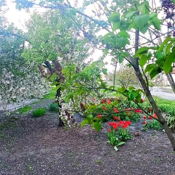 Продам дом 95.8к.м центр