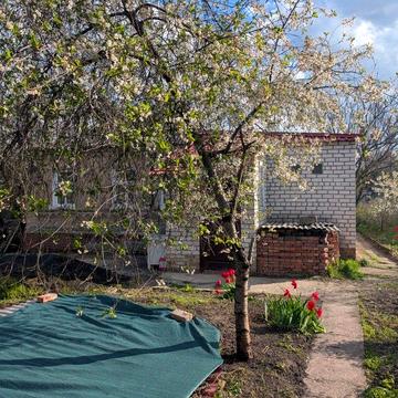 ТЕРМІНОВА ОРЕНДА: Приватний будинок в центрі міста (власник)