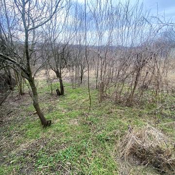Туркменська вул.