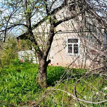 Продам недорого дом-дачу,приватизирована,центральная вода