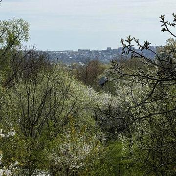 Дача, 1 хв до центральної дороги