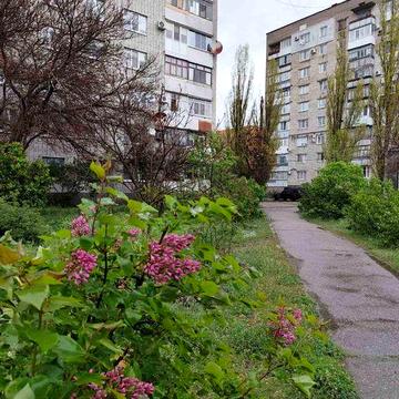 Оренда 1 кімн 1 Занасип 5 хв Центр