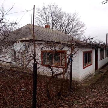 Здам в оренду ( довгострокову) дім в Вільшанському районі