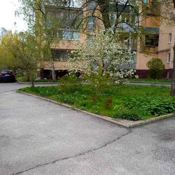 Продам 1 кв , Ботанічний сад
