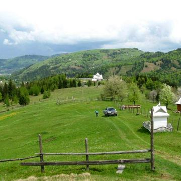 Урочище Скрипки