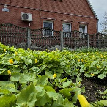 Продаж окремого будинку на Роменській