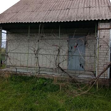 Здам или продам дачу